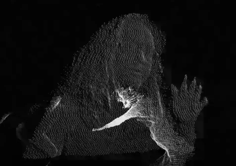 Airplane Boys point-cloud scan of Manny, a dense field of coloured points outlining his figure in space