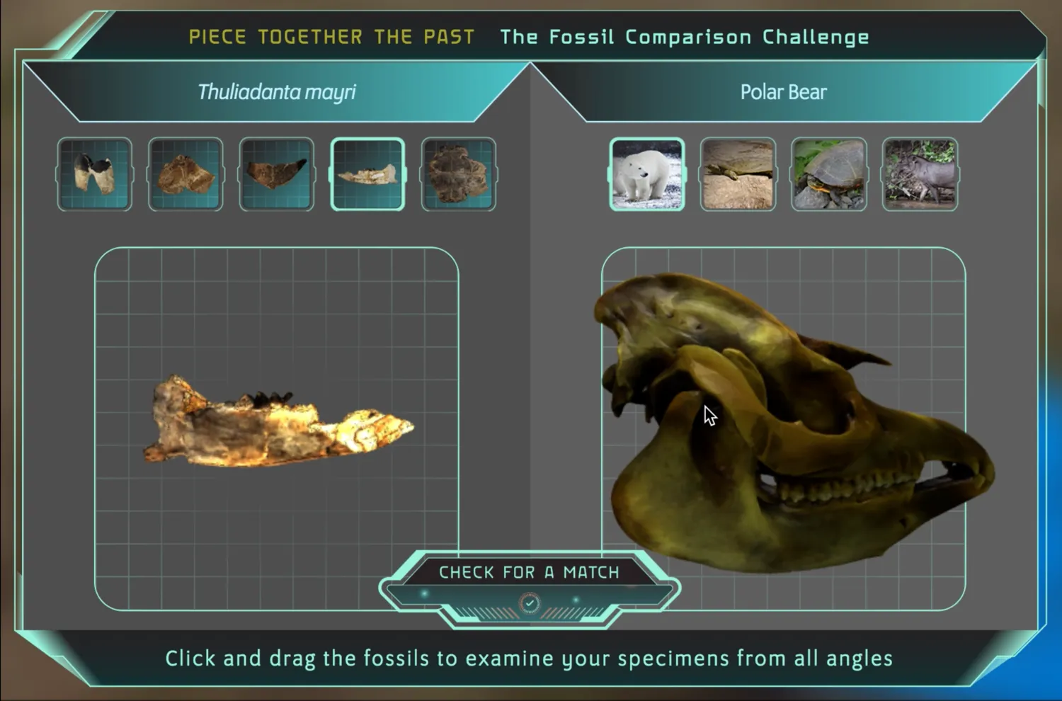 PBS NOVA Polar Lab 3D fossil examination mini-game showing prehistoric climate specimens