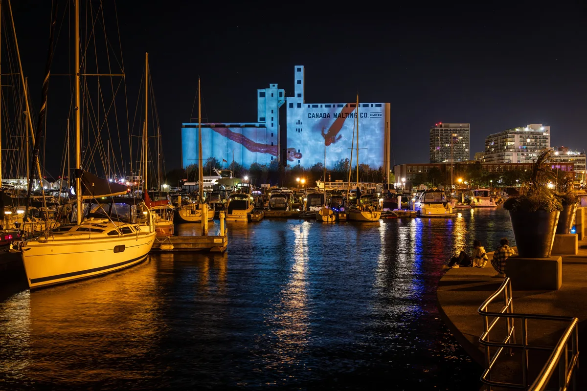 Riparia projection installation